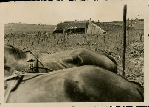 Wk2 foto wehrmacht - wk2, soldaten