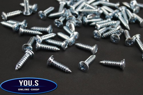 License plate screws - 10,