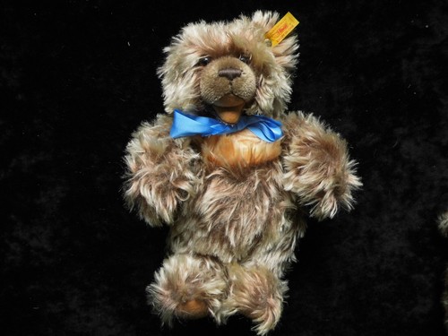 Steiff teddy zotty - ca., #