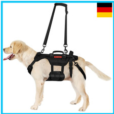 Hundegeschirr Invictus