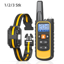 1000M Hund Ausbildung