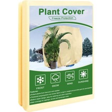 Pflanzen Winterschutz