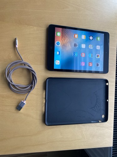 Apple ipad mini 16gb - apple, 1