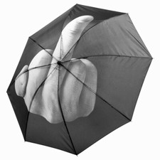 Fuck the Rain Stinkefinger