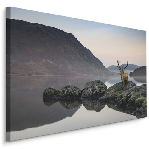 Canvas leinwand bilder - canvas, xxl