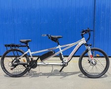 Elektrisches 500W/48V Zwei