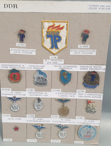 15x ddr junge - 15x,