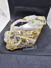 Versteinertes Holz 10x17cm,mit