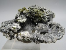 TOP Nifontovit Charkas San Luis Potosi Mexiko