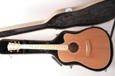 Cole Clark FL2EC-RDBL-SB Rep. - Reparierter Artikel