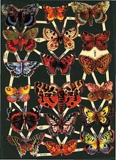 # GLANZBILDER # EF 7221