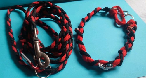 Hundeleine und hundehalsband - und,