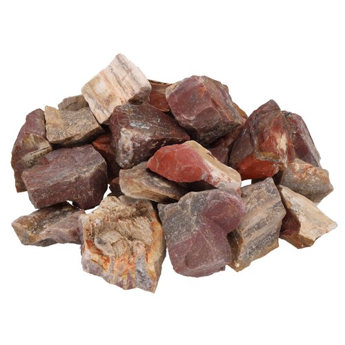 Versteinertes holz - versteinertes,