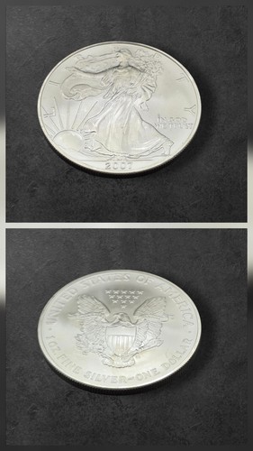 American silver eagle oz - american, 1