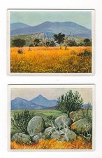 21/167 SAMMELBILD DEUTSCHE