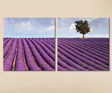 LAVENDER WALL Leinwand Bild