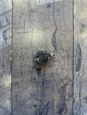 NEU! Steiff Igel Joggi 2306.00