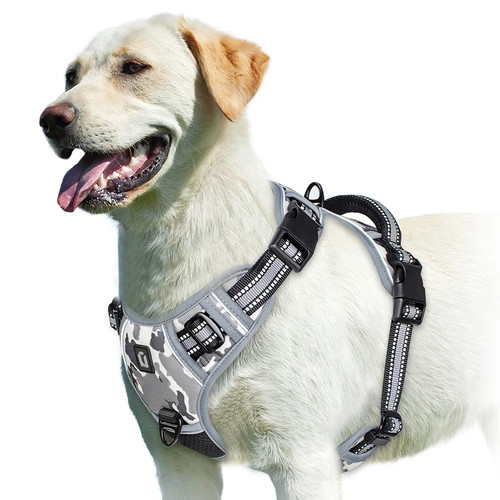 Hunde geschirr verstellbar - geschirr,