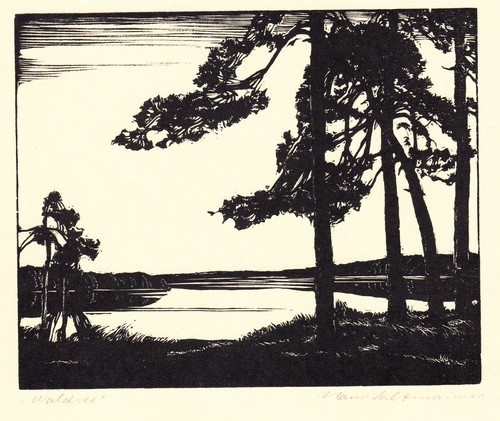 Hans salzmann waldsee - hans,