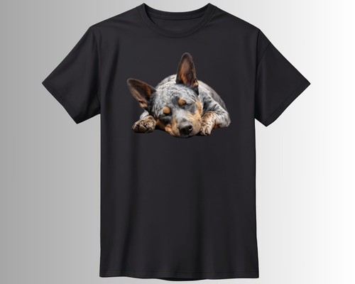 Süßer schlafender hund - süßer,
