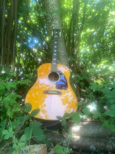 Epiphone 1964 texan - texan, (limited