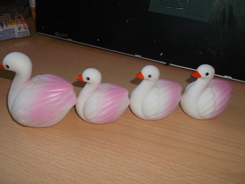 Entenfamilie vier teile - vier,
