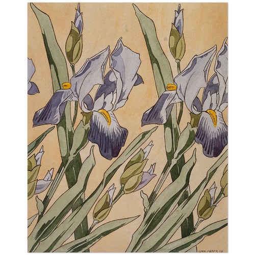 Koloman moser iris - koloman, moser,