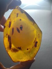 Baltischer Bernstein Polen