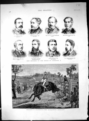 Alter buckjumper australien - buckjumper,