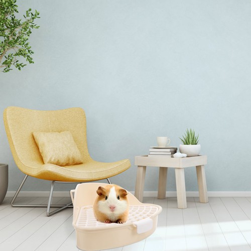 Hundetoilette eck katzenklo - eck,