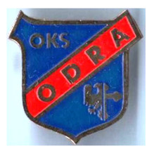 Anstecknadel (Abzeichen) Polen