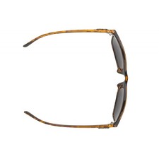 Alpina Radsportbrille JAIDA