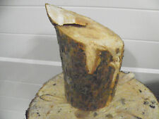 (6)   hauklotz spaltklotz