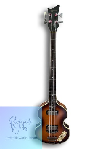 Greco violine bass - bass, mit