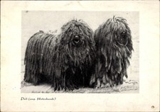 Ak Pulizwinger Trautenfels