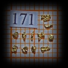 11 Goldnuggets aus Alaska (171)