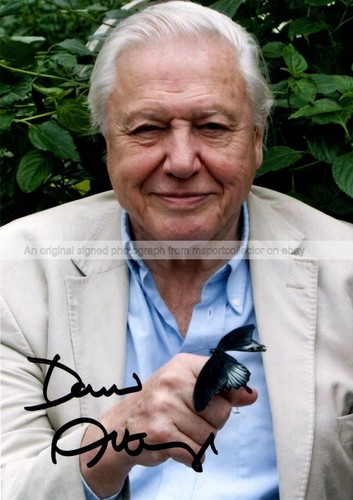 Sir david attenborough - sir,