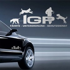 AIREDALE TERRIER IGP