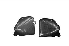 Carbon Kühlerverkleidung für