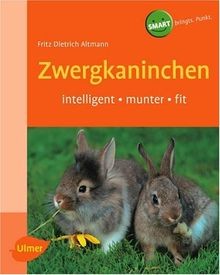 Zwergkaninchen heimtiere - zwergkaninchen.,