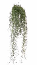 artplants Künstlicher Hänger