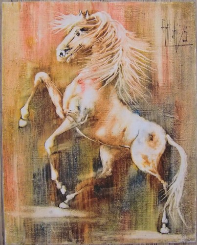 Pferd portrait 1975 - (40x50), /