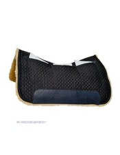 WI Western Import Correction