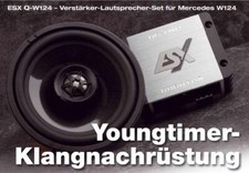 ESX Q-W124 Verstärker