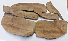 Verkieseltes Holz ~600g Fund Krassow 2017 Mecklenburg-Vorp. #FOS007