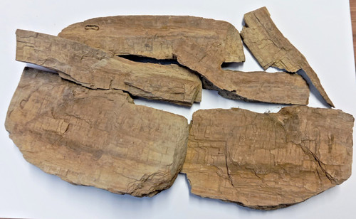 Verkieseltes holz 600g fund - verkieseltes,