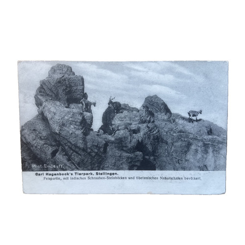 Ansichtskarte postkarte - ansichtskarte,