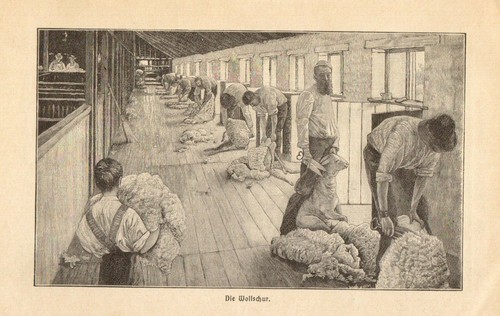 Schafzucht australien anno - australien,