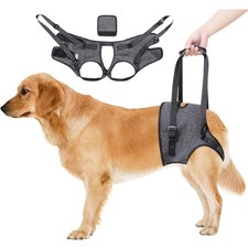 Tragehilfe Hund Verstellbares