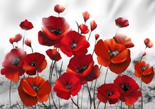 Blumen Mohnblume Abstrakt Rot